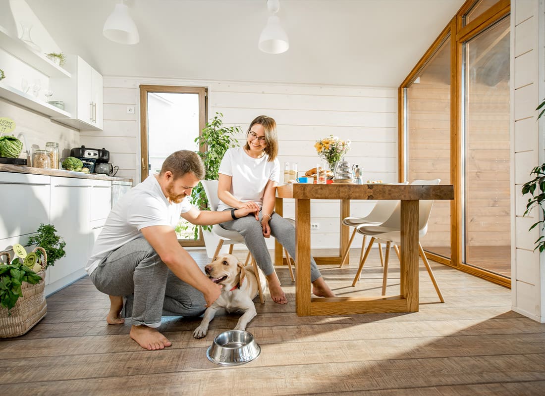 Personal Insurance - Young Couple Playing With Their Dog at Home on a Sunny Day